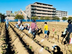 みんなでお芋掘りin村上【村上・萱田地域】